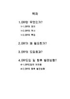 [경영정보] ERP에 대하여-2