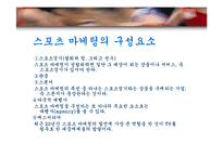 스포츠마케팅 레포트-4