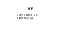 넥슨 카트라이더 분석-19