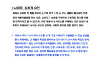 [경영전략] 차별화우위와 차별화전략-8