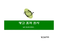 [광고효과조사] 녹차광고에 대해서 - 지리산 생녹차 사례-1