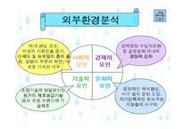 아웃백 기업분석-18