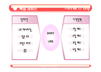 [서비스경영] 테마파크 디즈니랜드 서비스경영사례-9