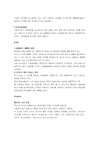인터파크의 인터넷 전략-11