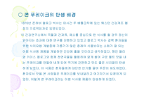 [마케팅] 콘 푸레이크의 켈로그 STP전략-2