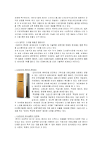 [마케팅전략] 브랜드 마케팅 하우젠 분석-11