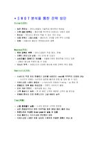 [마케팅] 구스띠모 아이스크림의 브랜드가치의 극대화 방안-15