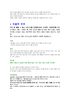 [마케팅] 구스띠모 아이스크림의 브랜드가치의 극대화 방안-20
