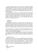 [마케팅] 래미안 브랜드가치 극대화 방안 모색-14