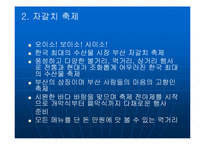 부산지역축제 레포트-5