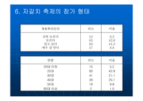 부산지역축제 레포트-12