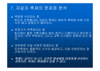 부산지역축제 레포트-14