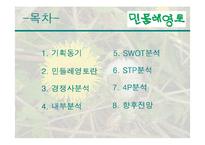 민들레영토 마케팅전략-2