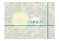 민들레영토 마케팅전략-3