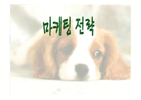 [사업계획서] 애견목욕 사업계획서-1