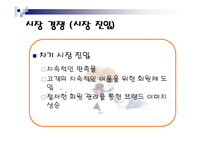 [사업계획서] 애견목욕 사업계획서-13