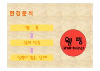 [마케팅전략] 레드망고 브랜드가치의 극대화 방안-10