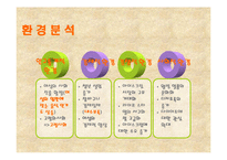 [마케팅전략] 레드망고 브랜드가치의 극대화 방안-12