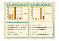 [마케팅전략] 레드망고 브랜드가치의 극대화 방안-15