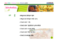 프레스코 마케팅전략기획서-3