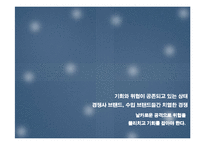 [마케팅전략기획서] 에쿠스의 브랜드 가치 극대화 방안-4