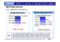 [마케팅전략기획서] 에쿠스의 브랜드 가치 극대화 방안-17