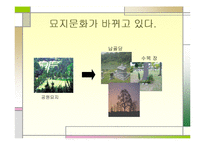 수목장에 대한 마케팅전략-3