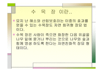수목장에 대한 마케팅전략-4