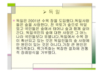 수목장에 대한 마케팅전략-9