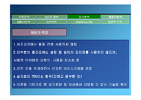 [마케팅] 구스띠모 아이스크림의 브랜드가치의 극대화 방안-10