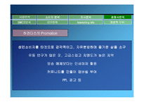 [마케팅] 구스띠모 아이스크림의 브랜드가치의 극대화 방안-13