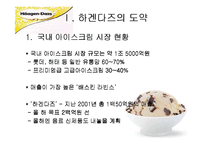 하겐다즈 마케팅기획서-4