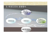 하겐다즈 마케팅기획서-9