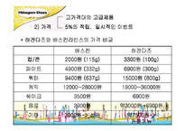 하겐다즈 마케팅기획서-11