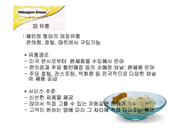하겐다즈 마케팅기획서-12