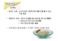 하겐다즈 마케팅기획서-13
