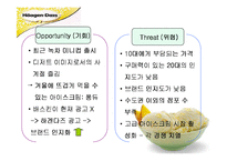 하겐다즈 마케팅기획서-15