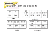 하겐다즈 마케팅기획서-18