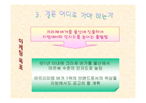 [마케팅] 크라제버거 브랜드가치 향상 전략-17