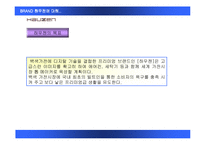 하우젠 드럼 세탁기 마케팅전략-4