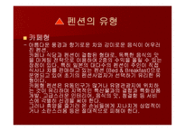 펜션(pension) 마케팅전략-16