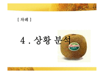 [마케팅] 키위브랜드 제스프리 브랜드가치 극대화 전략-11