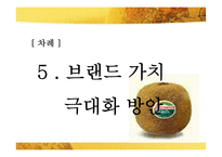 [마케팅] 키위브랜드 제스프리 브랜드가치 극대화 전략-19