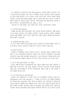 [정치학] TV 토론 프로그램의 개선방향에 관한 연구 -MBC `100분 토론`과 SBS `시시비비`를 중심-6