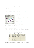 [마케팅] 한성항공의 시장점유율확대를 위한 마케팅 전략-3