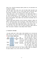 [마케팅] 한성항공의 시장점유율확대를 위한 마케팅 전략-4