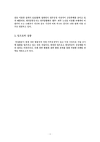 [마케팅] 한성항공의 시장점유율확대를 위한 마케팅 전략-6