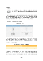 [마케팅] 한성항공의 시장점유율확대를 위한 마케팅 전략-11