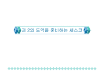 세스코의 마케팅분석-1