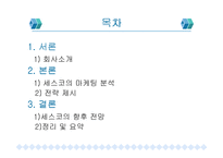 세스코의 마케팅분석-2